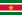 флаг Суринама